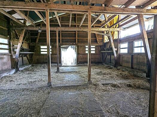 Bauernhaus zum Kauf 320.000 € 4 Zimmer 100 m² 23.000 m² Grundstück Neudorf Varel 26316