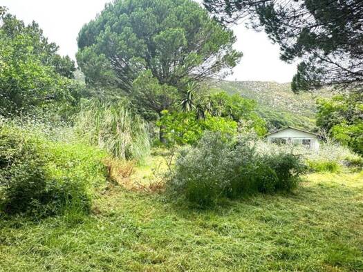 Acker-/Waldstück zum Kauf 375.000 € Tarifa 11380