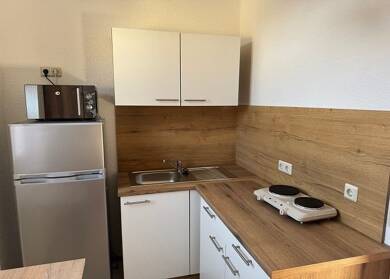 Wohnung zur Miete 240 € 1 Zimmer 30 m² EG Neuwegerslebener Straße 12 Hornhausen Oschersleben 39387