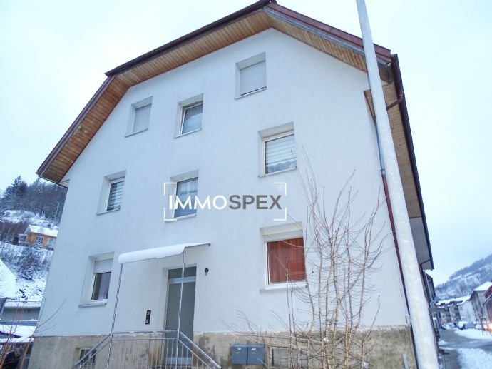 Mehrfamilienhaus zum Kauf 254 m²<br/>Wohnfläche 525 m²<br/>Grundstück Todtnau Todtnau 79674