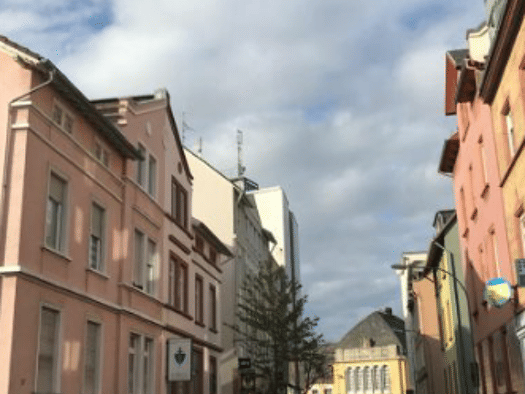 Wohnung zur Miete 1.450 € 3,5 Zimmer 98 m² Geschoss 1/3 frei ab 01.01.2027 Höchst Frankfurt am Main 65929