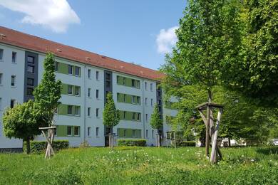 Wohnung zur Miete 317 € 3 Zimmer 54,7 m² 3. Geschoss frei ab sofort Ernst-Thälmann-Siedlung 50 Hohenstein-Ernstthal Hohenstein-Ernstthal 09337