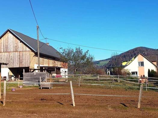 Land-/Forstwirtschaft zum Kauf 459.000 € Brückl 9371