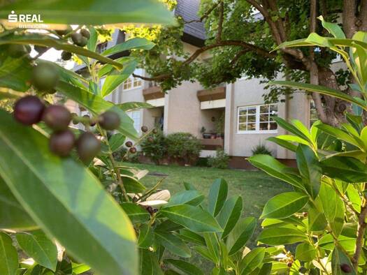 Wohnung zur Miete 589 € 2 Zimmer 56 m² 1. Geschoss Perchtoldsdorf 2380