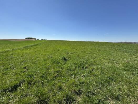 Land-/Forstwirtschaft zum Kauf 136.350 € 9.090 m² Grundstück Mamming Mamming 94437