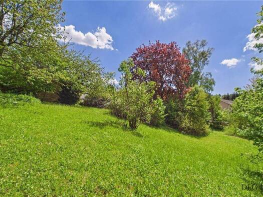 Grundstück zum Kauf 220.000 € 1.322 m² Grundstück Zwiesel 94227