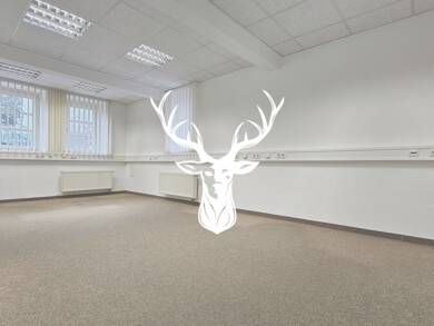 Büro-/Praxisfläche zur Miete 1.375 € 4 Zimmer 140 m² Bürofläche Waldshut Waldshut-Tiengen 79761