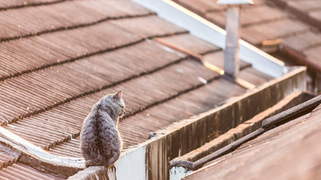 Rohdachboden zum Kauf 279 m² 5. Geschoss Moabit Berlin 10551