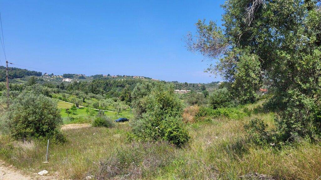Land-/Forstwirtschaft zum Kauf 95.000 € 4.000 m² Grundstück Chalkidiki