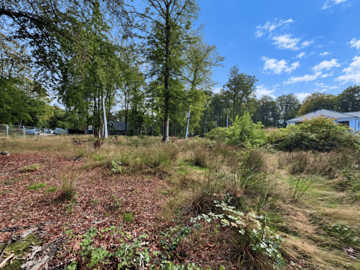 Einfamilienhaus zum Kauf provisionsfrei 1.980.000 € 4.651 m² Grundstück Oberneuland Bremen 28355