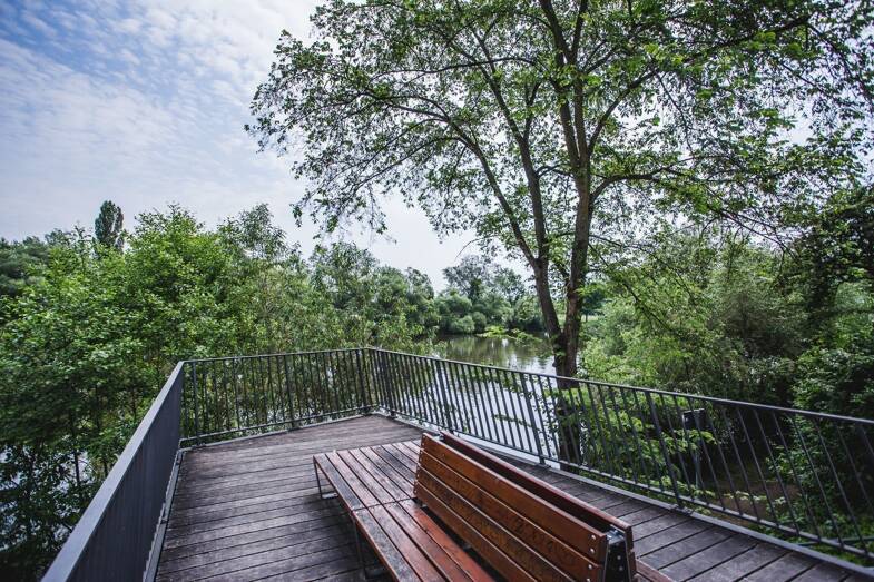 WG-Zimmer zur Miete Wohnen auf Zeit 430 € 14 m² 1. Geschoss frei ab sofort Alt Fechenheim 00 Fechenheim Frankfurt am Main 60386