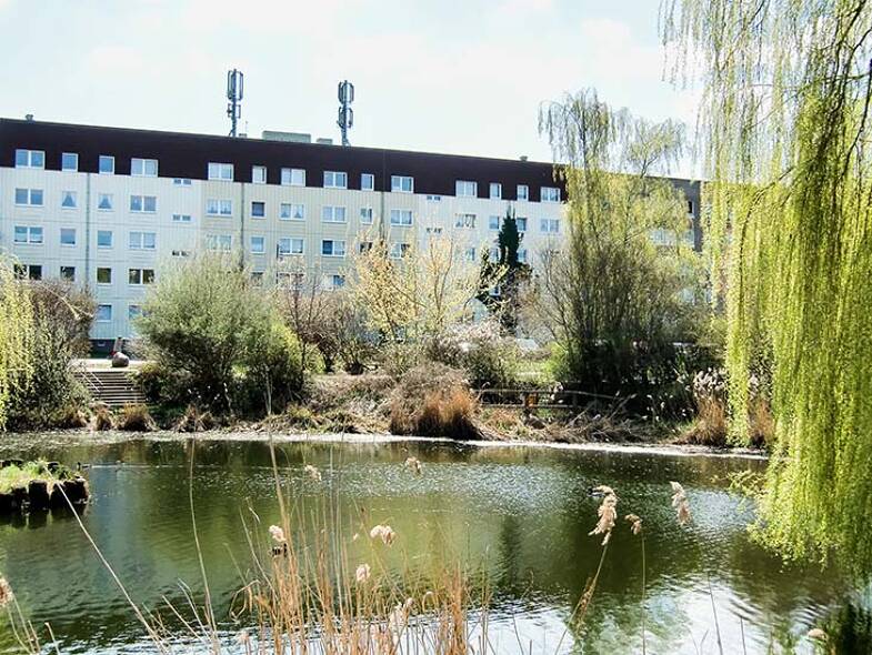 Wohnung zur Miete 650 € 4 Zimmer 92,1 m² EG frei ab 01.07.2025 Georg-Dreke-Ring 93 Prenzlau Prenzlau 17291