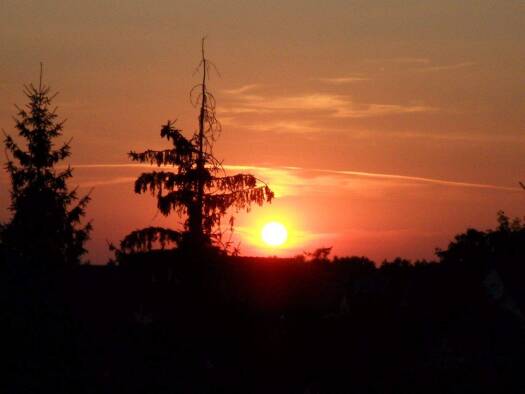 Villa zum Kauf provisionsfrei 488.990 € 5 Zimmer 130 m² 720 m² Grundstück Kleinolbersdorf-Altenhain Chemnitz 09128