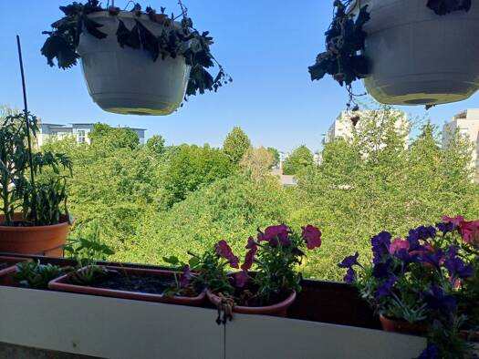 Wohnung zur Miete 585 € 2 Zimmer 57,1 m² Andreasvorstadt Erfurt 99092