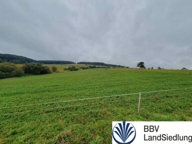 Landwirtschaftliche Fläche zum Kauf 98.000 m² 98.000 m² Grundstück Hösbach Hösbach 63768