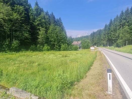 Grundstück zum Kauf 95.000 € 1.001 m² Grundstück Vorderstoder 4574