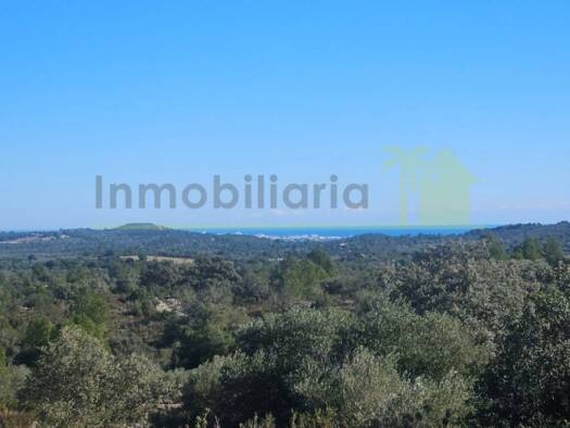 Acker-/Waldstück zum Kauf 50.000 € Cervera del Maestre 12578