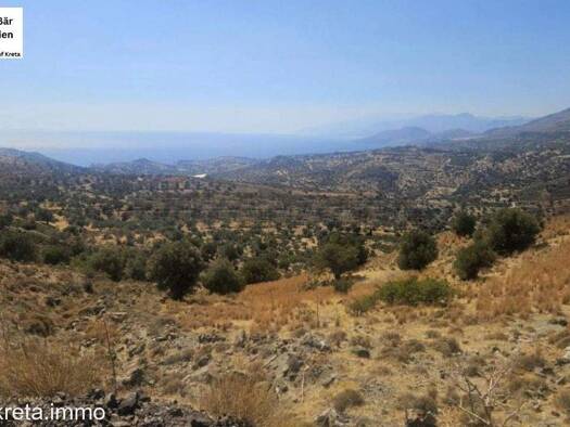 Land-/Forstwirtschaft zum Kauf 300.000 € 20.000 m² Grundstück Municipality of Agios Vasileios 740 53