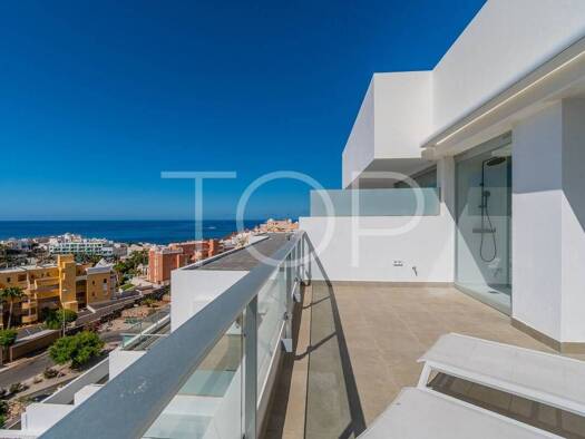 Penthouse zum Kauf 1.490.000 € 2 Zimmer 196 m² Adeje 38679