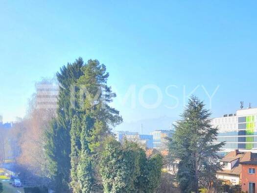 Wohnung zum Kauf 310.000 € 3 Zimmer 92 m² 3. Geschoss Lustenau Linz 4020