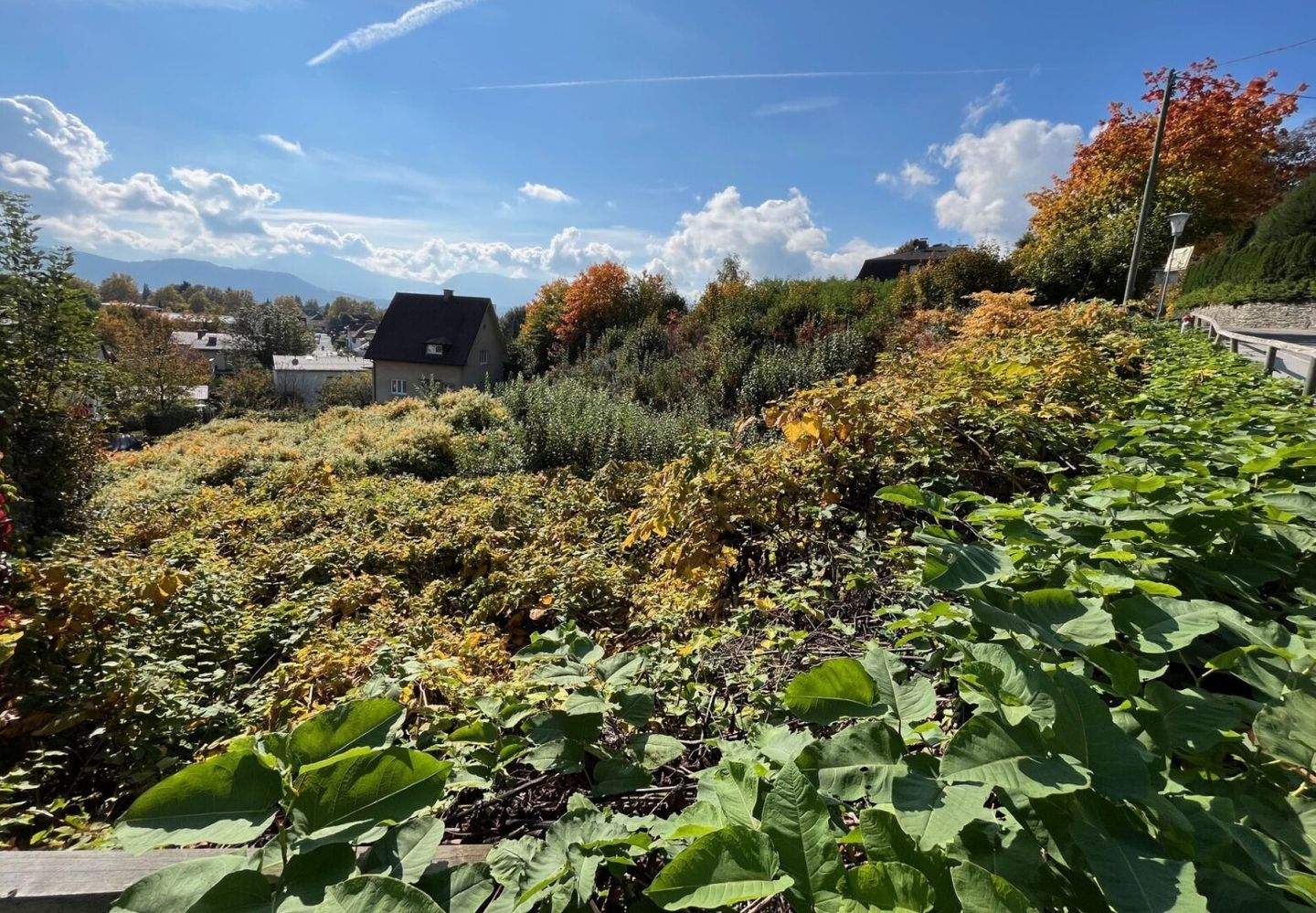 Grundstück zum Kauf - Widok 4