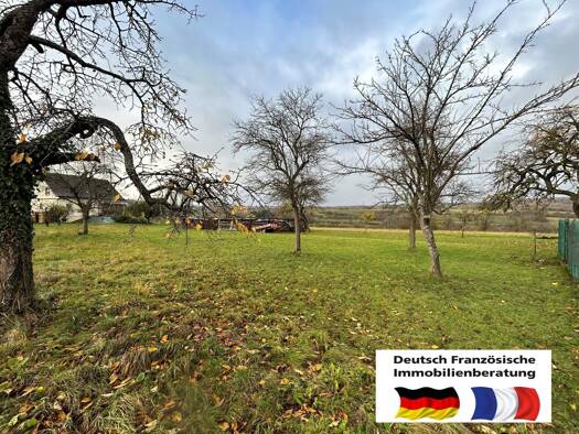 Grundstück zum Kauf 80.000 € 975 m² Grundstück Rue au Blé 9 Alsting 57515