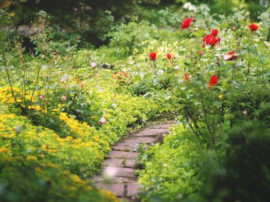 Einfamilienhaus zum Kauf 8 Zimmer 240 m² 882 m² Grundstück Feuchtwangen 91555