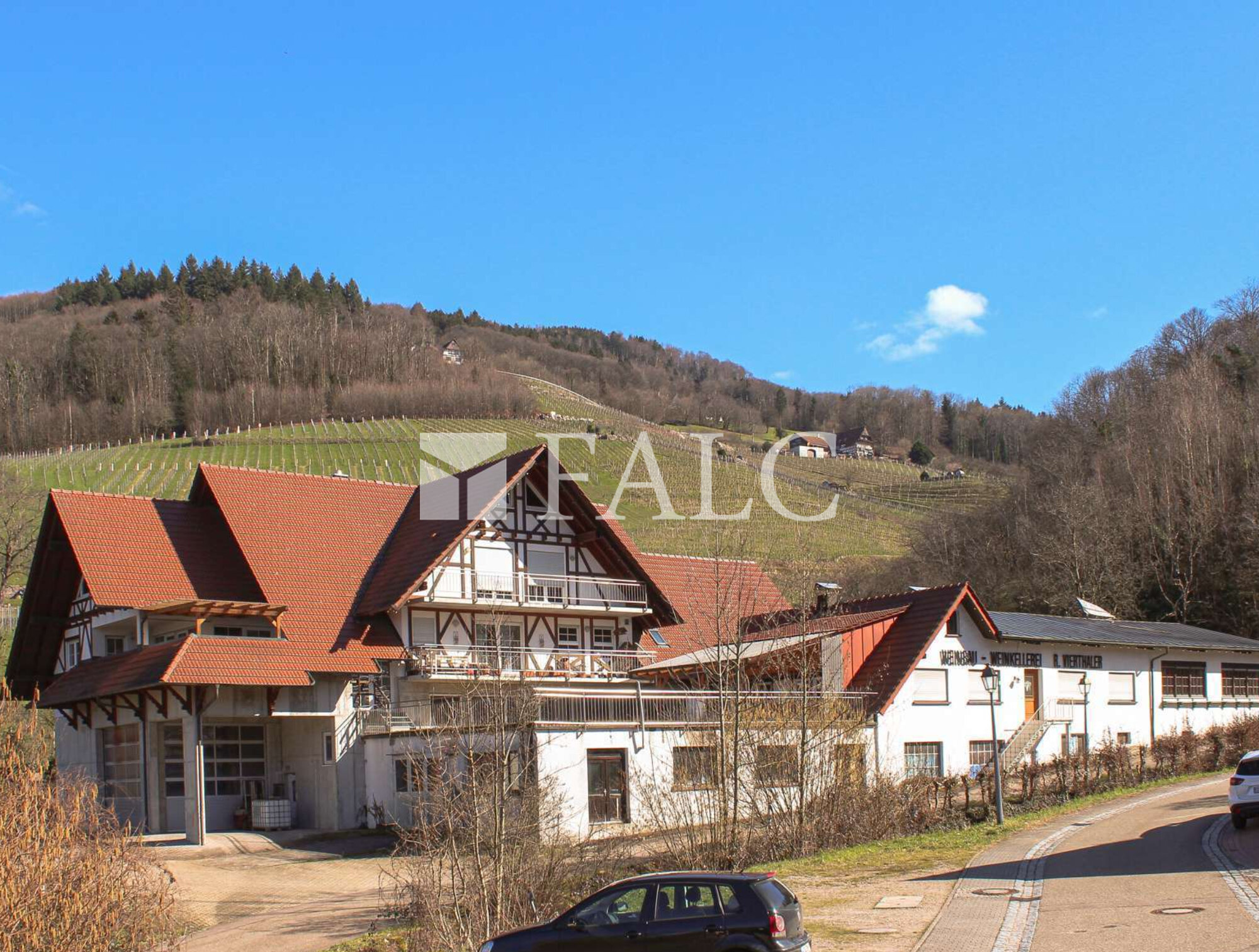 Land-/Forstwirtschaft zum Kauf 38.883 m²<br/>Grundstück Sasbachwalden 77887