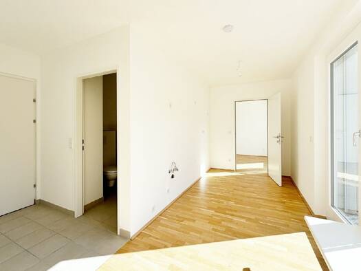 Wohnung zum Kauf 339.000 € 2 Zimmer 43,8 m² Liesing 1230