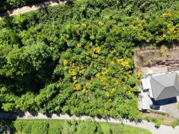 Grundstück zum Kauf 89.000 € 856 m² Grundstück Bundenthal 76891