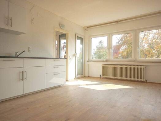 Wohnung zur Miete 675 € 1,5 Zimmer 35,4 m² Mitte Ulm 89073