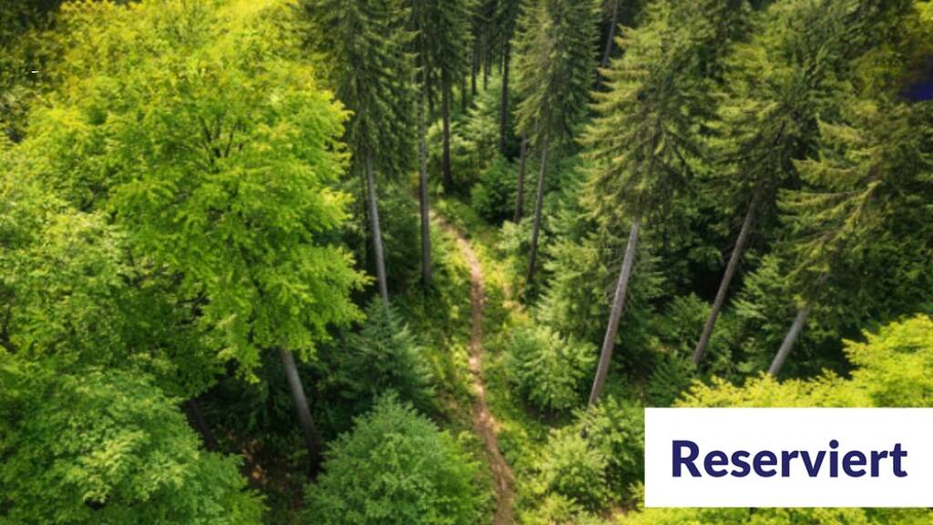 Land-/Forstwirtschaft zum Kauf 20.000 € 13.601 m² Grundstück Eigelscheid Winterspelt 54616