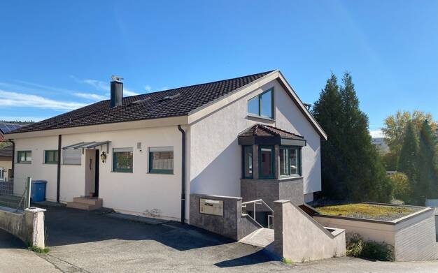 Einfamilienhaus zum Kauf 450.000 € 6,5 Zimmer 229 m² 676 m² Grundstück Tuttlingen Tuttlingen 78532