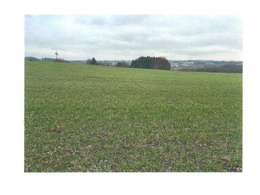 Land-/Forstwirtschaft zum Kauf 24.900 € 3.598 m² Grundstück Isenbügel Heiligenhaus 42579