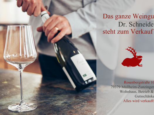 Haus zum Kauf 1.800.000 € 1.934 m² Grundstück Zunzingen Müllheim - Zunzingen 79379