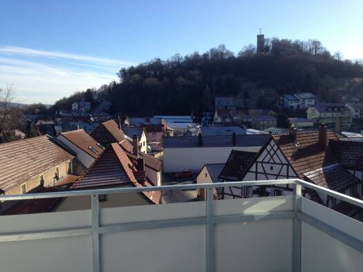 Wohnung zur Miete 427 € 1 Zimmer 38 m² EG Dr.-Georg-Schäfer-Straße 8 Eltmann 97483