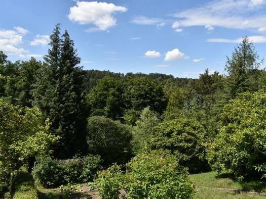 Grundstück zum Kauf 45.600 € 912 m² Grundstück Zschopau 09405