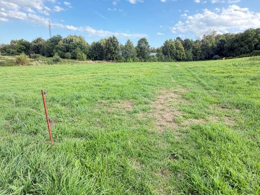 Grundstück zur Versteigerung provisionsfrei 642 m² Grundstück Wirtschaftsweg Briesnitz Ortsamtsbereich Cotta 01157