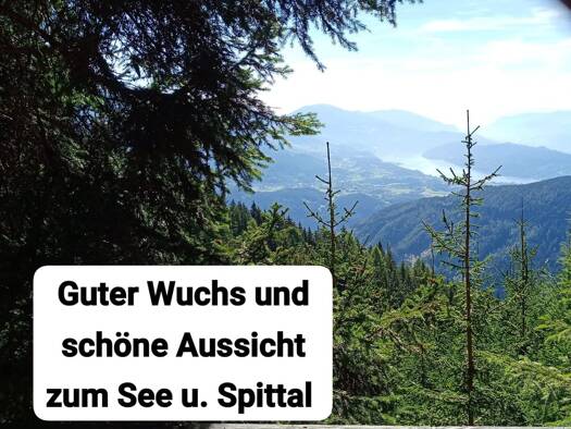 Grundstück zum Kauf 86.000 € 34.977 m² Grundstück Trebesing 9852