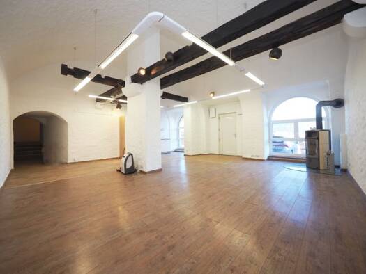 Studio zur Miete 700 € 2,5 Zimmer 105 m² EG frei ab sofort Salzburger Straße Hallein 5400