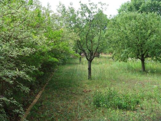 Grundstück zum Kauf 299.000 € 920 m² Grundstück frei ab sofort Quedlinburger Straße 26 a Oranienburg 16515