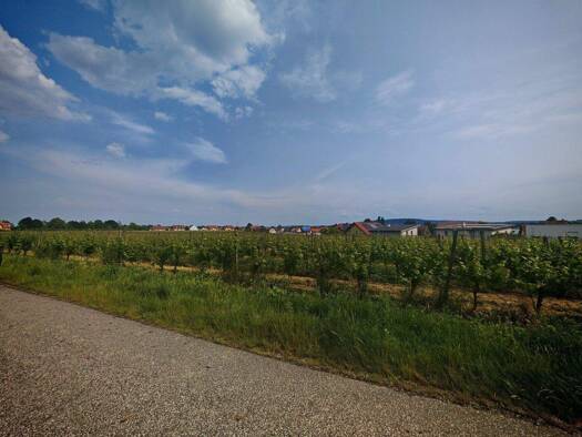 Land-/Forstwirtschaft zur Miete provisionsfrei 40 € 8.181 m² Grundstück Rohrendorf bei Krems 3495