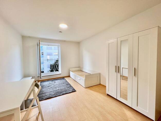 Wohnung zur Miete 950 € 1 Zimmer 18,8 m² 4. Geschoss frei ab sofort Falkenstraße 33 Au-Haidhausen München 81541