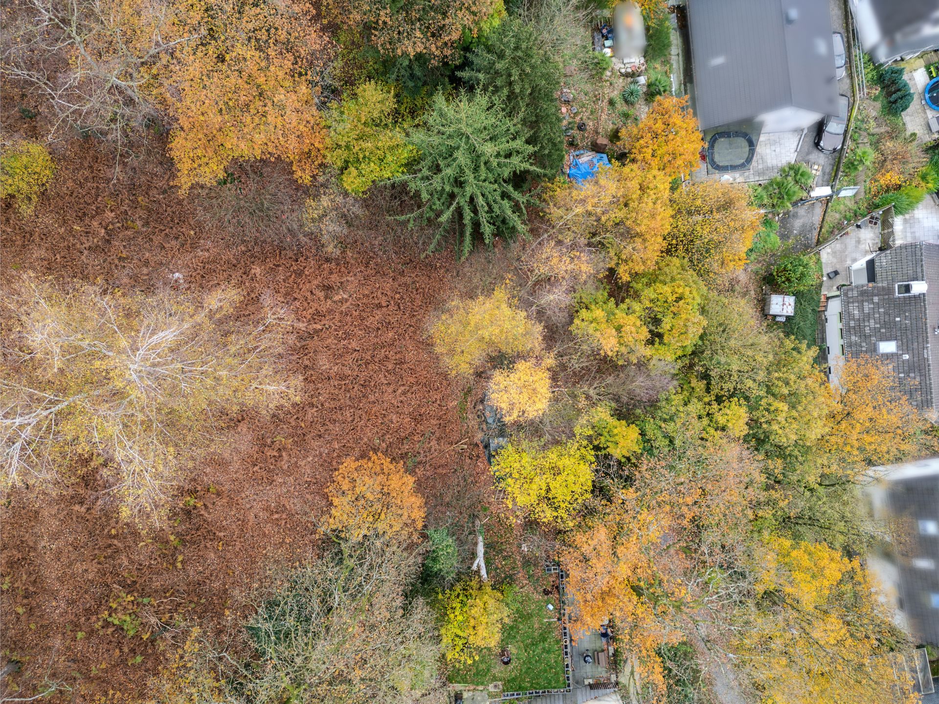 Grundstück zum Kauf 199.000 € 1.555 m²<br/>Grundstück Rauental Wuppertal 42389