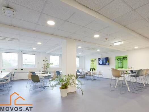 Bürofläche zur Miete 8.142 € Rudolfsheim-Fünfhaus 1150
