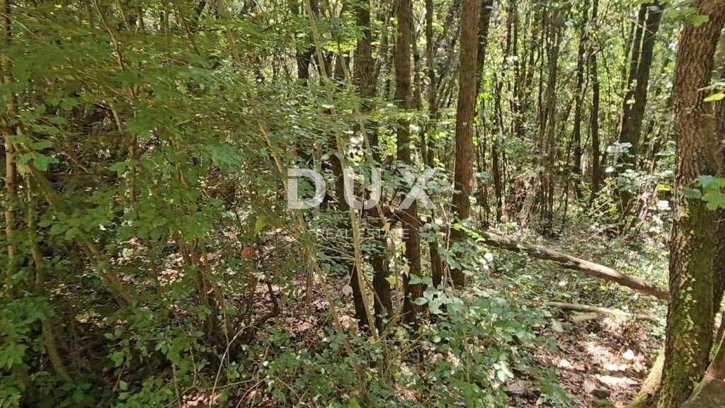 Land-/Forstwirtschaft zum Kauf 146.700 € Peruski, Kavran, Pavicini