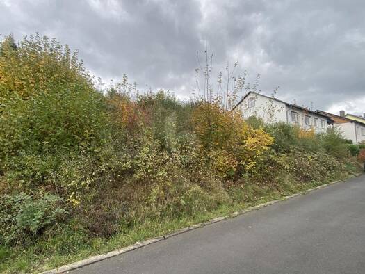 Grundstück zum Kauf 100.000 € 779 m² Grundstück Borken Borken 34582