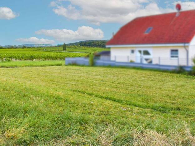 Grundstück zum Kauf 750.000 € 906 m² Grundstück Malsch 69254