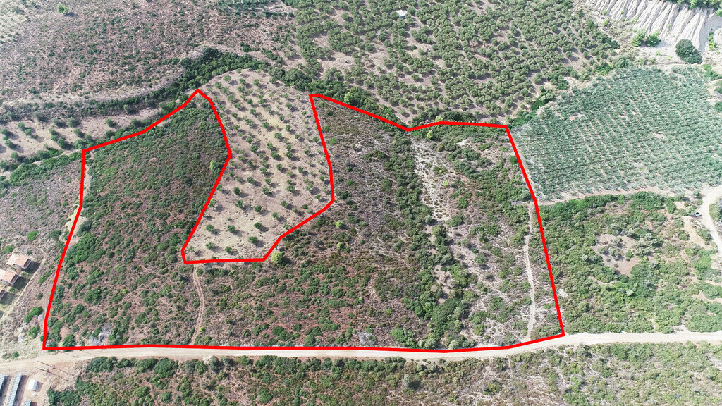 Land-/Forstwirtschaft zum Kauf 370.000 € 37.500 m²<br/>Grundstück Chalkidiki