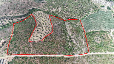 Land-/Forstwirtschaft zum Kauf 370.000 € 37.500 m² Grundstück Chalkidiki